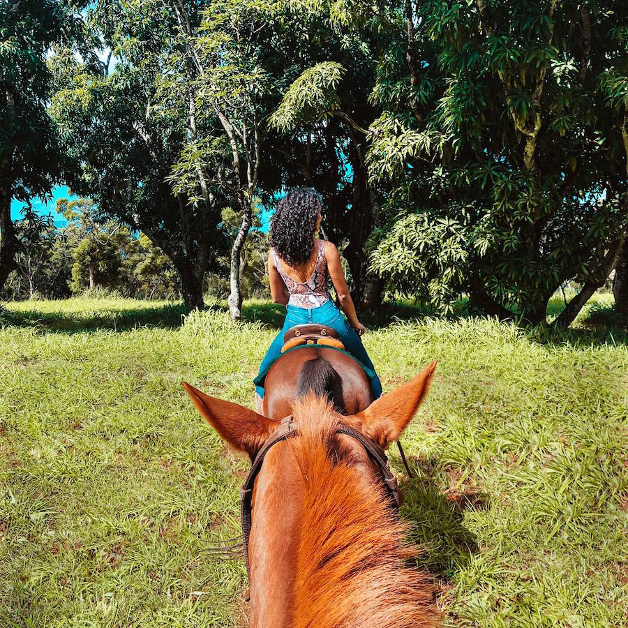 Happy Trails Hawaii Horseback Rides in Haleiwa