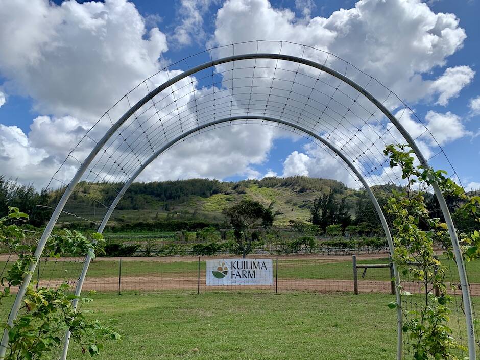 Kuilima Farm Stand Oahu