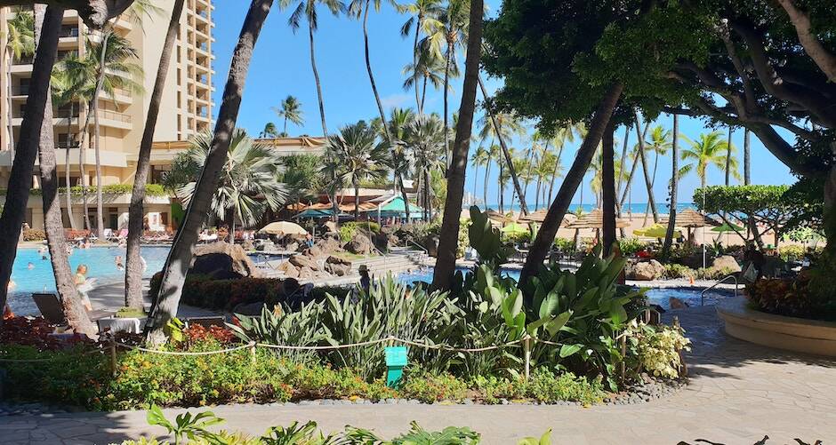 Turtle Bay Resort vs Hilton Hawaiian Village