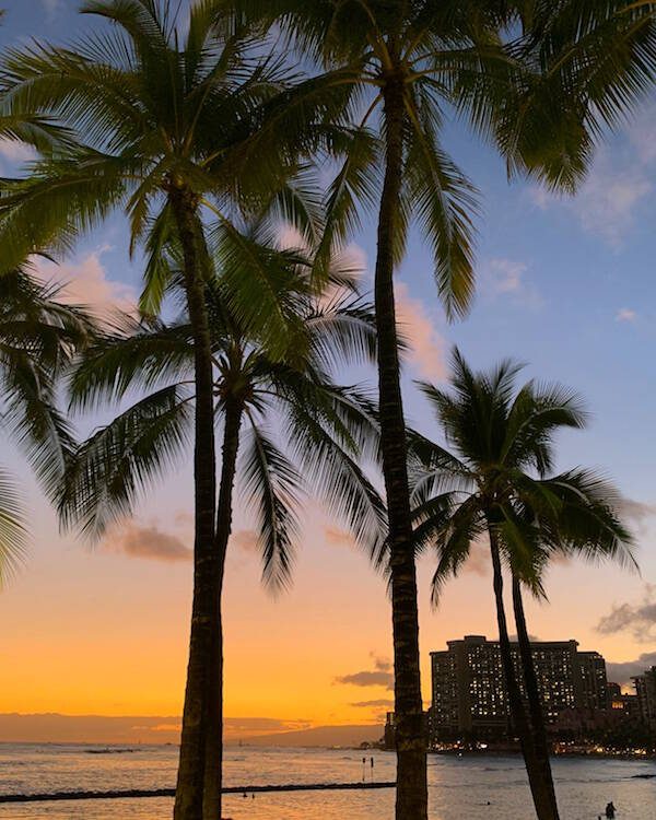 Outrigger Waikiki Beach Resort vs Hilton Hawaiian Village