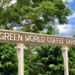 Green World Coffee Farm Tour