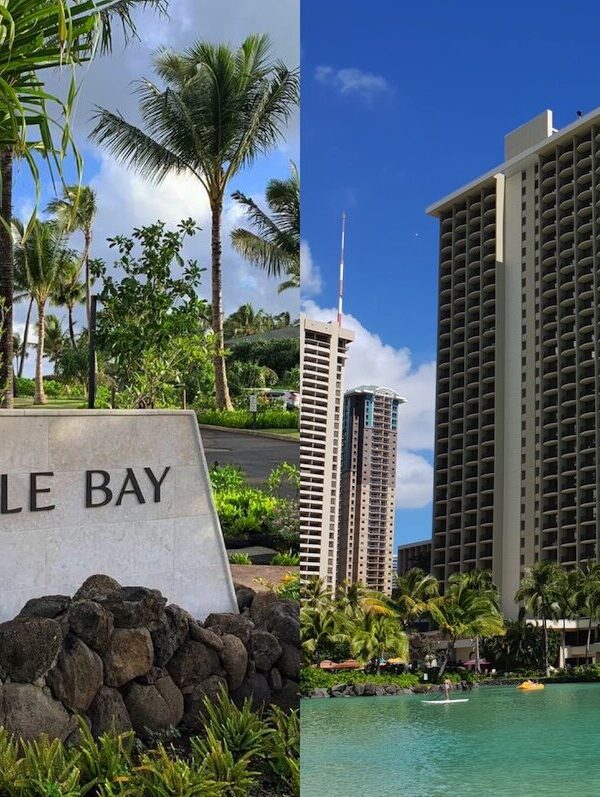 Turtle Bay Resort vs Hilton Hawaiian Village