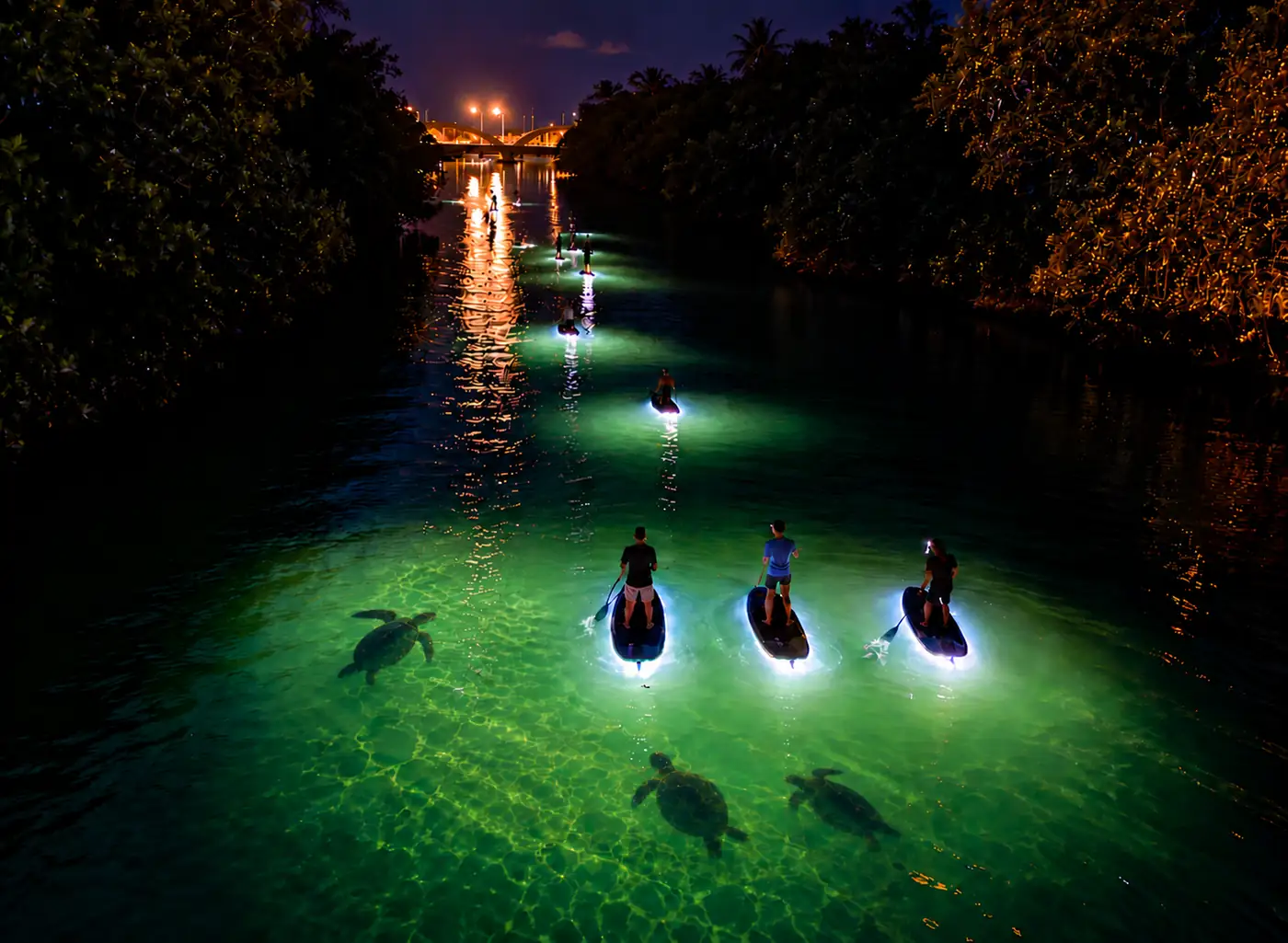 Best Paddle Boarding Oahu